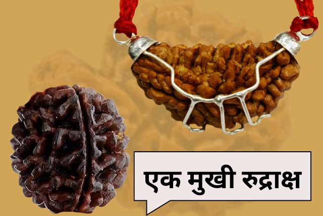 Ek Mukhi Rudraksha ki Photo