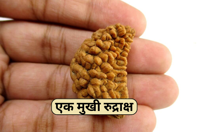 Ek Mukhi Rudraksha