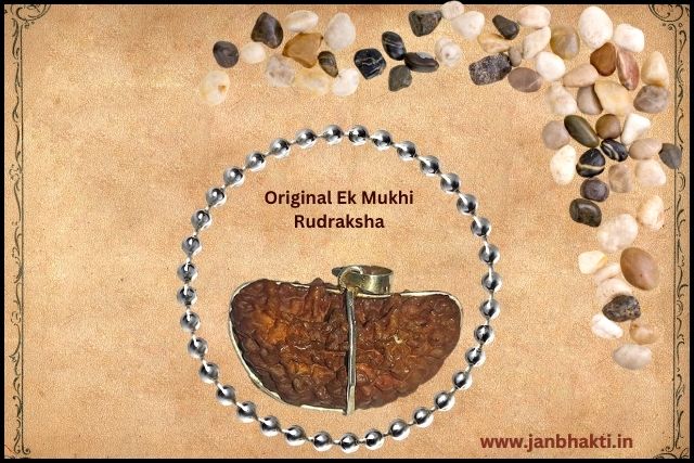 Original-Ek-Mukhi-Rudraksha-ki-Pahchan-Kaise-kare