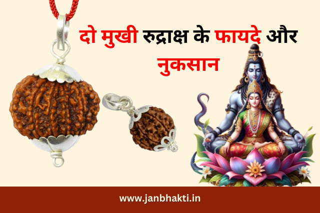 2 Mukhi Rudraksha ke Fayde Or Nuksan