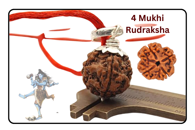 4 Mukhi Rudraksha kya Hota Hai