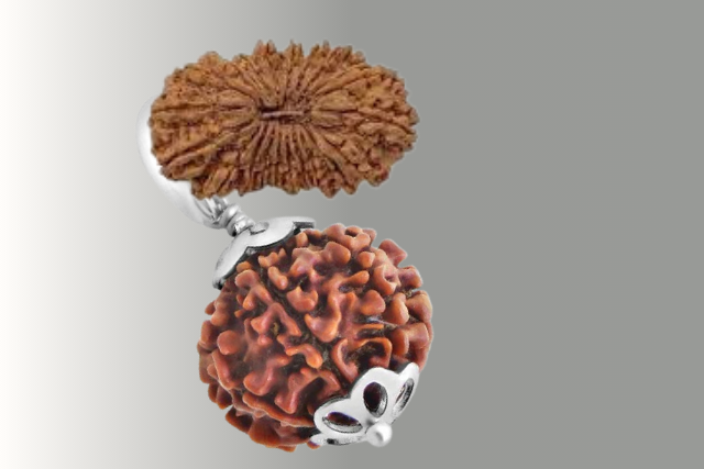 8 Mukhi Rudraksha kya Hai