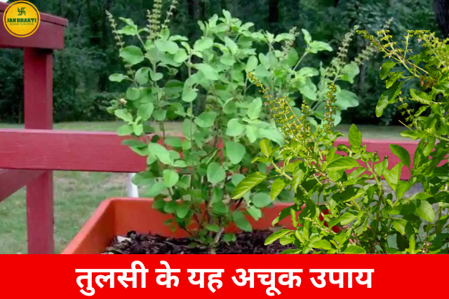 Dhan Prapti ke liye Tulsi ke Upay