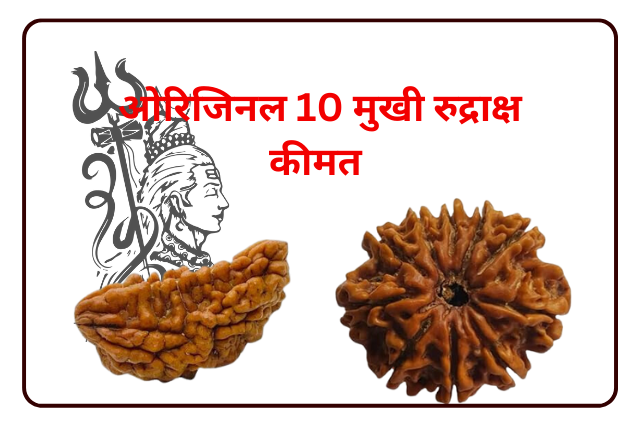 Original 10 Mukhi Rudraksha ki Pahchan kaise karen