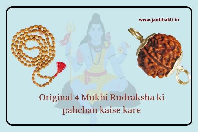 Original 4 Mukhi Rudraksha ki pahchan kaise kare