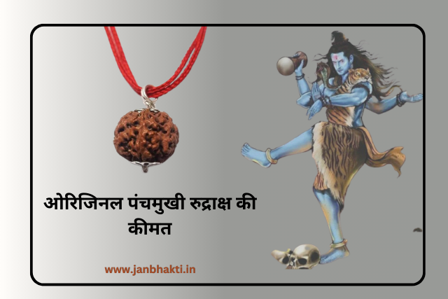 Original 5 Mukhi Rudraksha ki Pehchan kaise kare