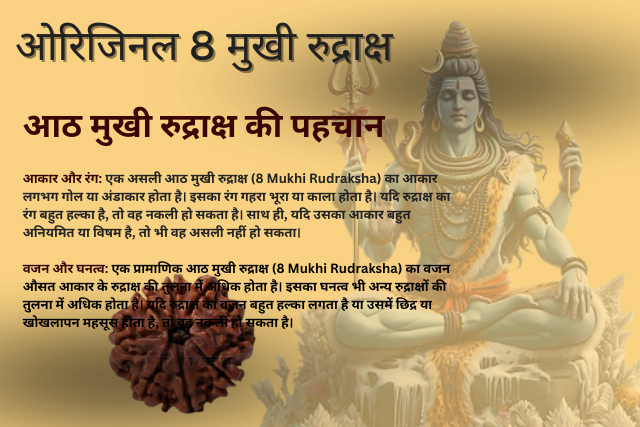 Original 8 Mukhi Rudraksha ki Pahchan kaise karen