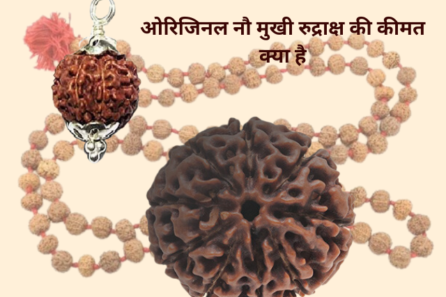 Original 9 Mukhi Rudraksha ki pahchan kaise karen