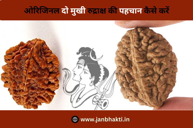 Original Do Mukhi Rudraksha ki Pahchan kaise karen