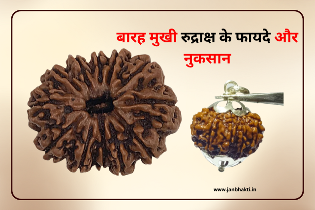 12 Mukhi Rudraksha ke Fayde Aur Nuksan