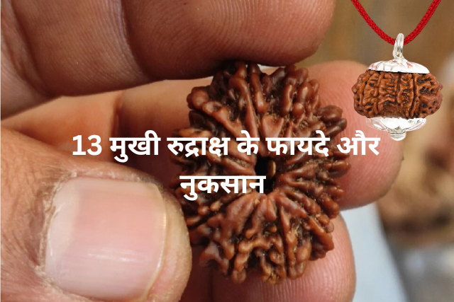 13 Mukhi Rudraksha ke Fayde Aur Nuksan