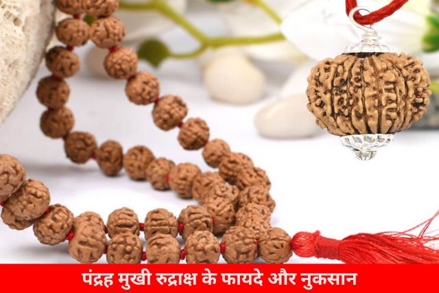 15 Mukhi Rudraksha ke Fayde Aur Nuksan