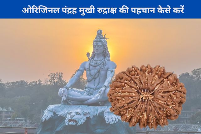 Original 15 Mukhi Rudraksha ki Pahchan kaise kare