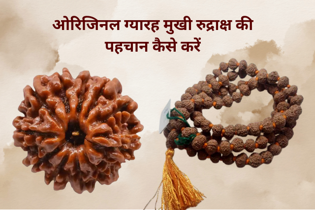 Original 11 Mukhi Rudraksha ki Pahchan kaise Kare