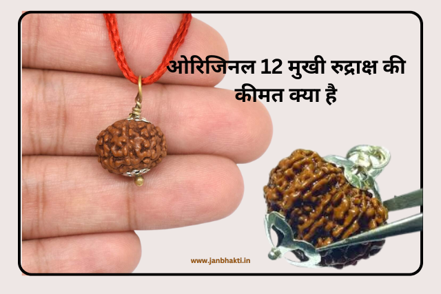 Original 12 Mukhi Rudraksha ki Pahchan kaise kare