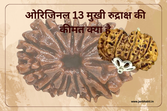 Original 13 Mukhi Rudraksha ki Pahchan kaise kare