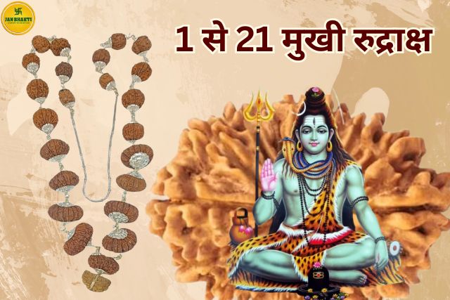 1 Se 21 Mukhi Rudraksha