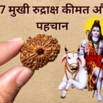 17 Mukhi Rudraksha