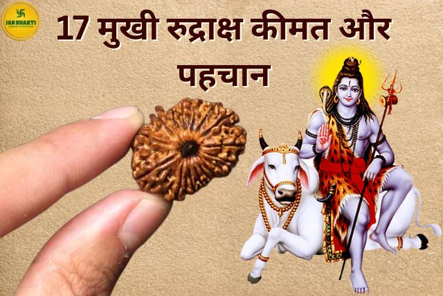 17 Mukhi Rudraksha
