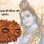18 Mukhi Rudraksha