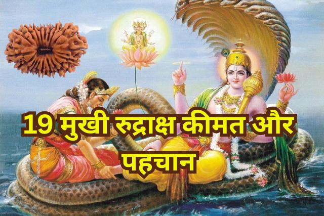 19 Mukhi Rudraksha Keemat aur Pehchan
