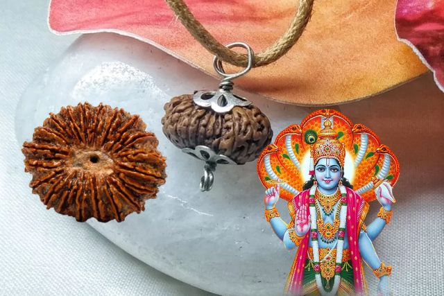 20 Mukhi Rudraksha Keemat aur pehchan