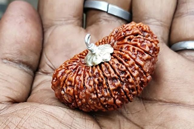 Original 19 Mukhi Rudraksha kya Hai?