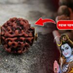 Rudraksh Pahnane ke Fayde